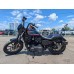 Harley-Davidson Iron XL1200 2021