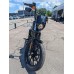 Harley-Davidson Iron XL1200 2021